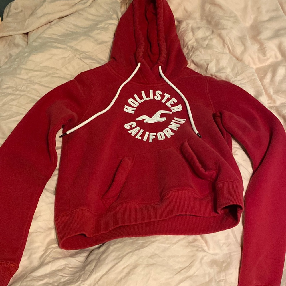 HOLLISTER cropped hoodie